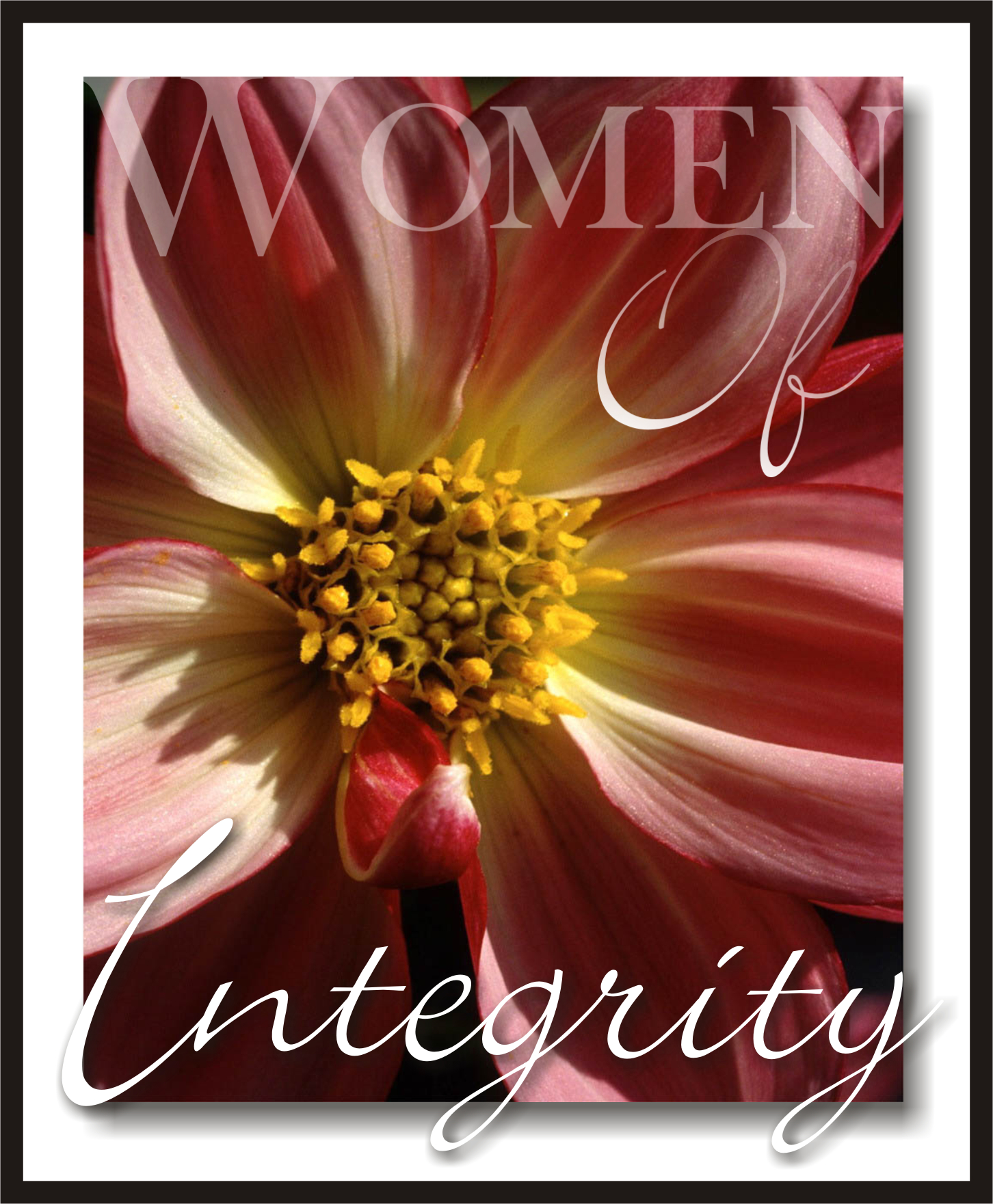 Women of Integrity Network